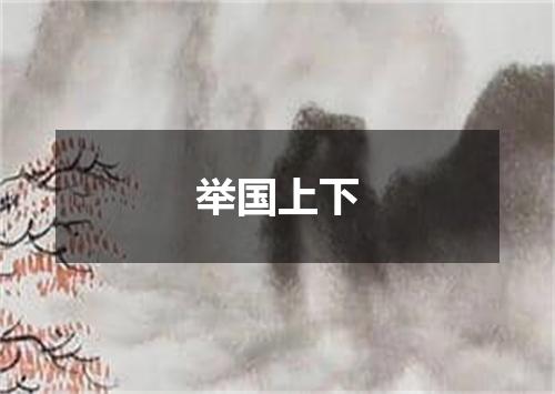 举国上下