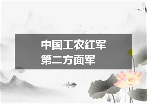 中国工农红军第二方面军