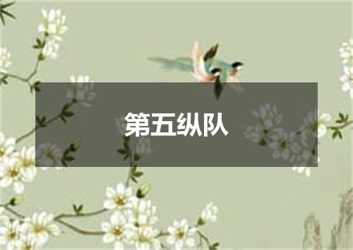 第五纵队