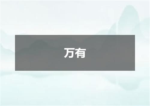 万有