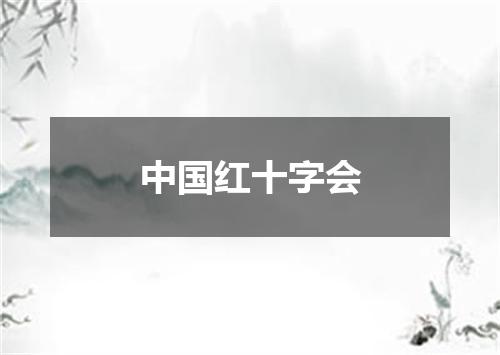 中国红十字会