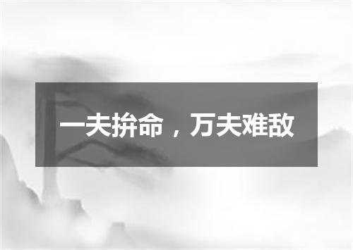 一夫拚命，万夫难敌