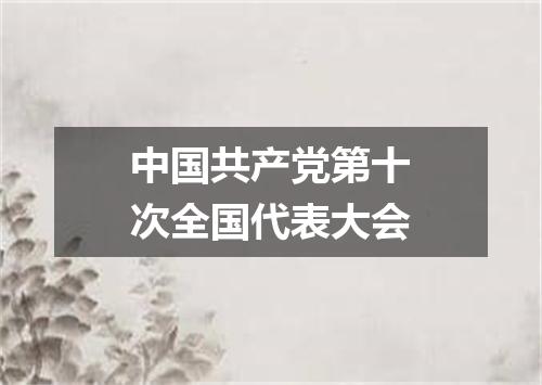 中国共产党第十次全国代表大会
