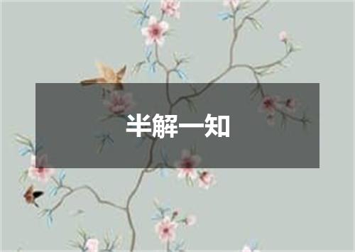 半解一知