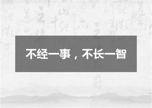 不经一事，不长一智