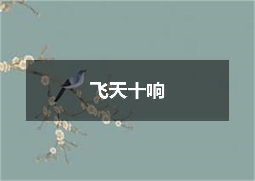 飞天十响