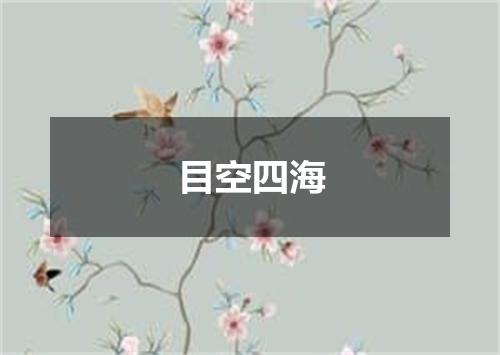 目空四海