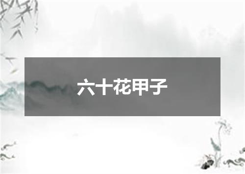 六十花甲子
