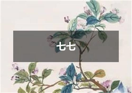 七七