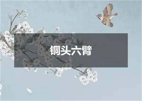 铜头六臂