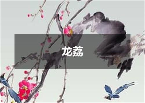 龙荔