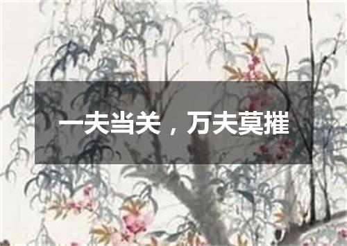 一夫当关，万夫莫摧