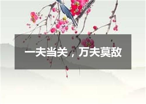 一夫当关，万夫莫敌