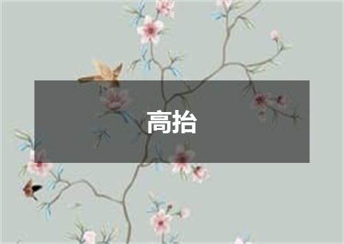 高抬