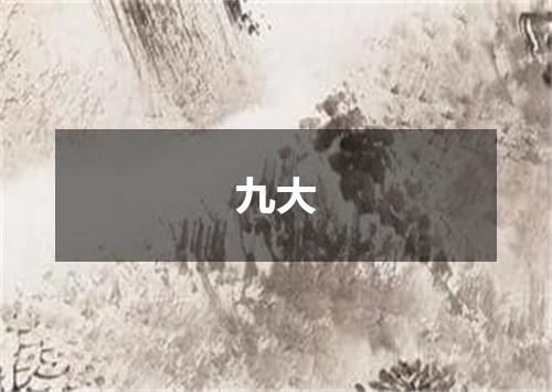 九大