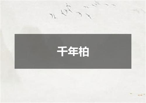 千年柏