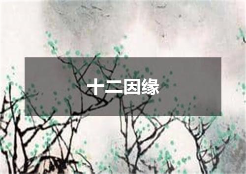 十二因缘