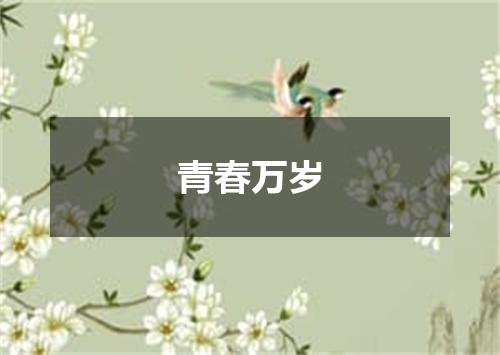 青春万岁