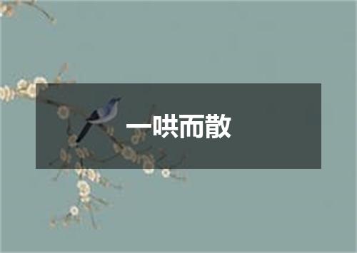 一哄而散