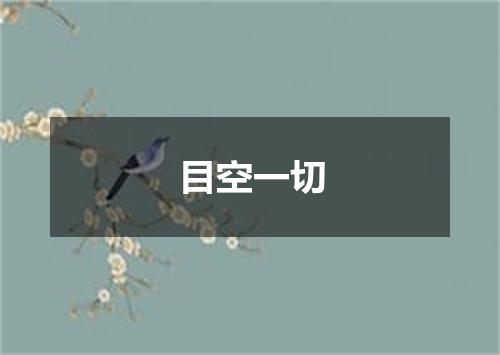 目空一切