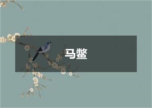 马鳖