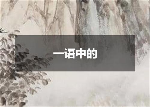 一语中的