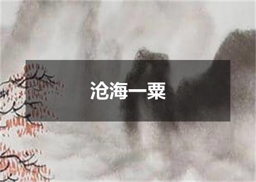 沧海一粟