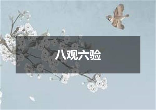 八观六验