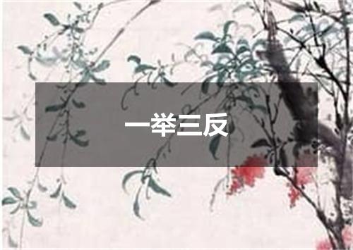 一举三反