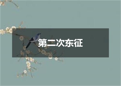 第二次东征