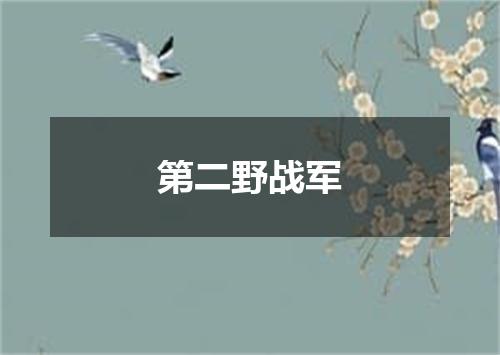 第二野战军