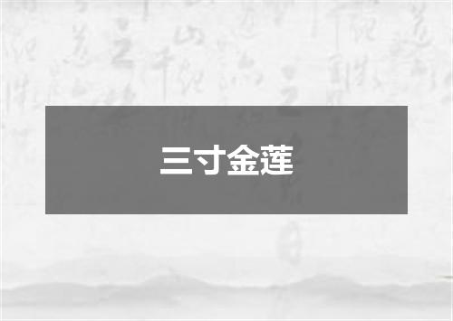 三寸金莲