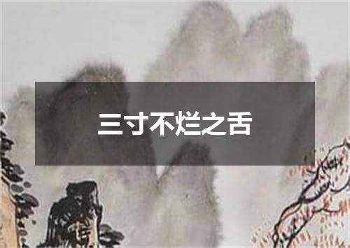 三寸不烂之舌