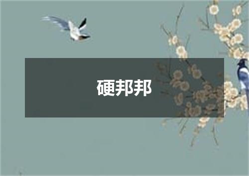 硬邦邦
