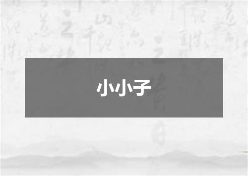 小小子