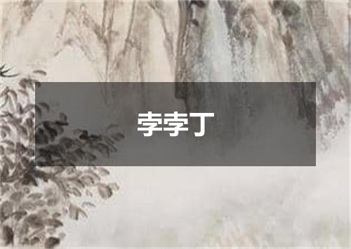 孛孛丁
