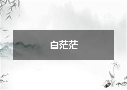 白茫茫