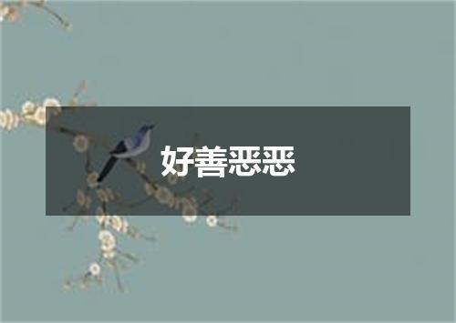 好善恶恶