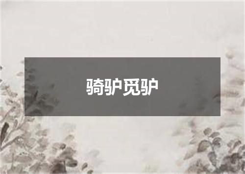 骑驴觅驴