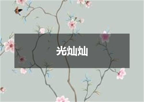 光灿灿