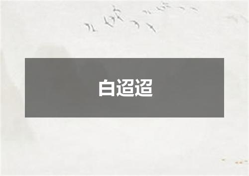 白迢迢