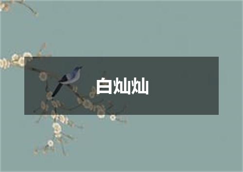 白灿灿