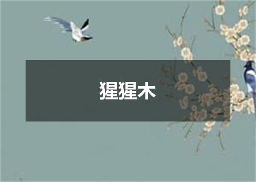 猩猩木
