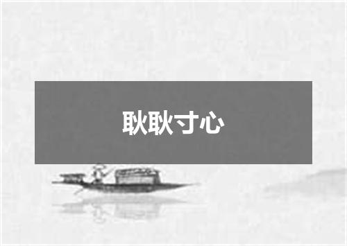 耿耿寸心