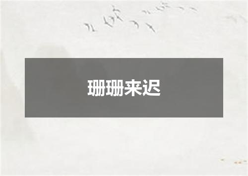 珊珊来迟