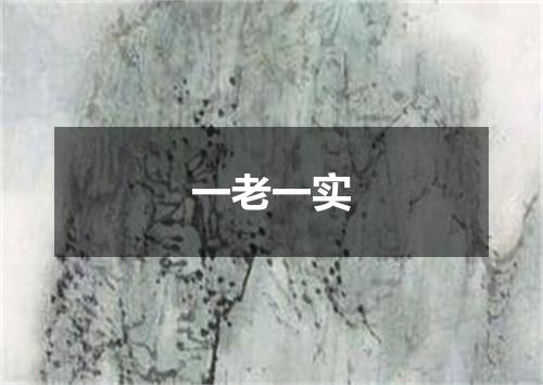 一老一实