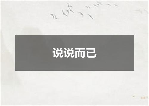 说说而已