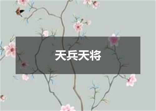 天兵天将