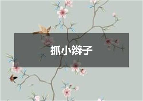 抓小辫子
