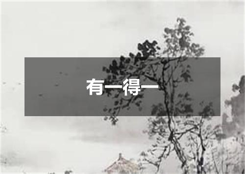 有一得一